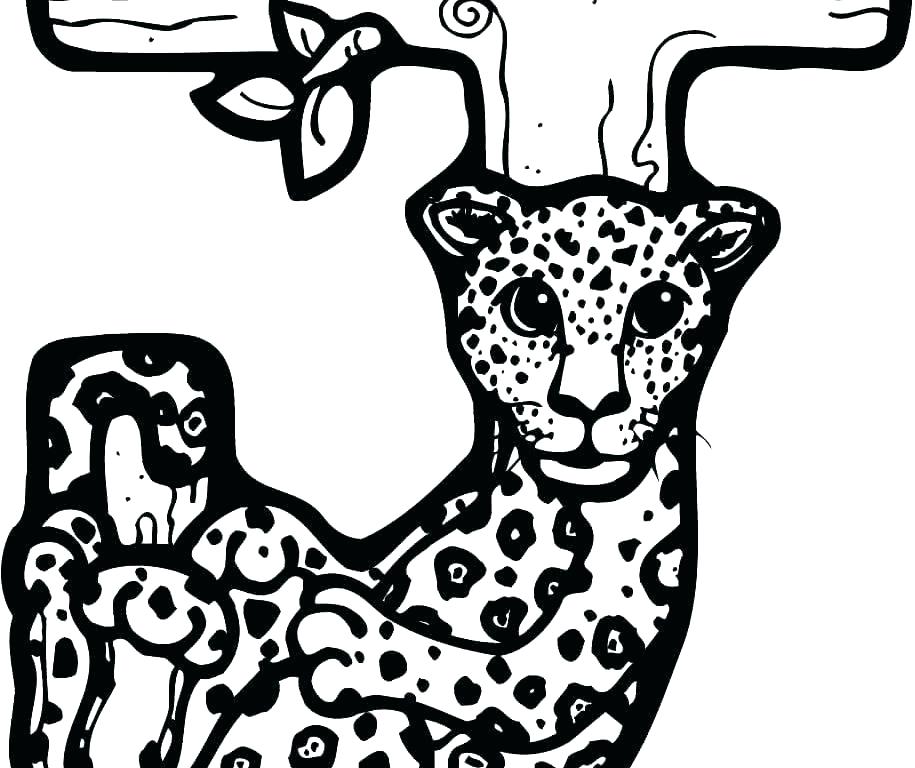 915x768 Jaguar Coloring Page Impair.co