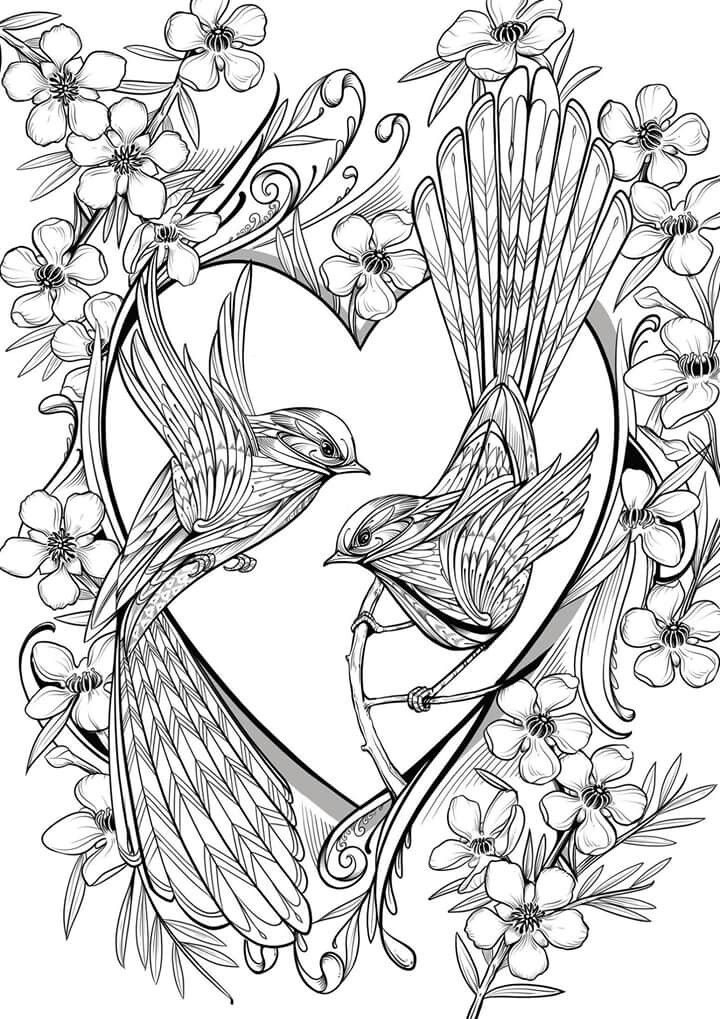 Coloring Pages Love Birds