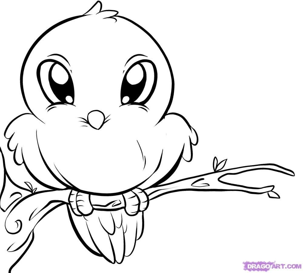 1000x904 Drawings Of Love Birds How To Draw A Cute Bird Step 6 Things
