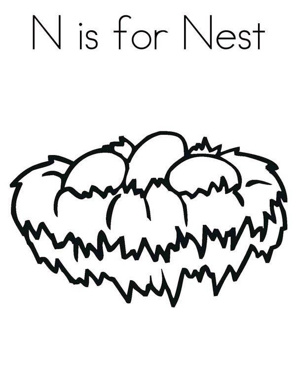600x776 N Is For Bird Nest Coloring Pages Best Place To Color