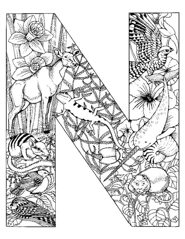 618x800 Alphabet Animal Coloring Pages N Projects To Try