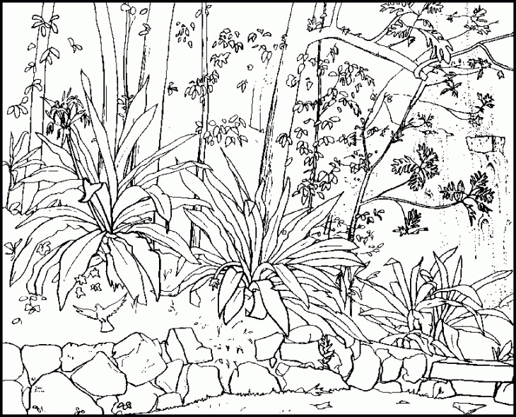 Coloring Pages Nature Scenes