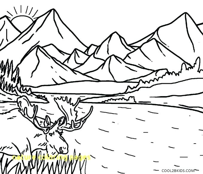 678x583 Coloring Pages Nature Nature Coloring Simple Nature Coloring Pages