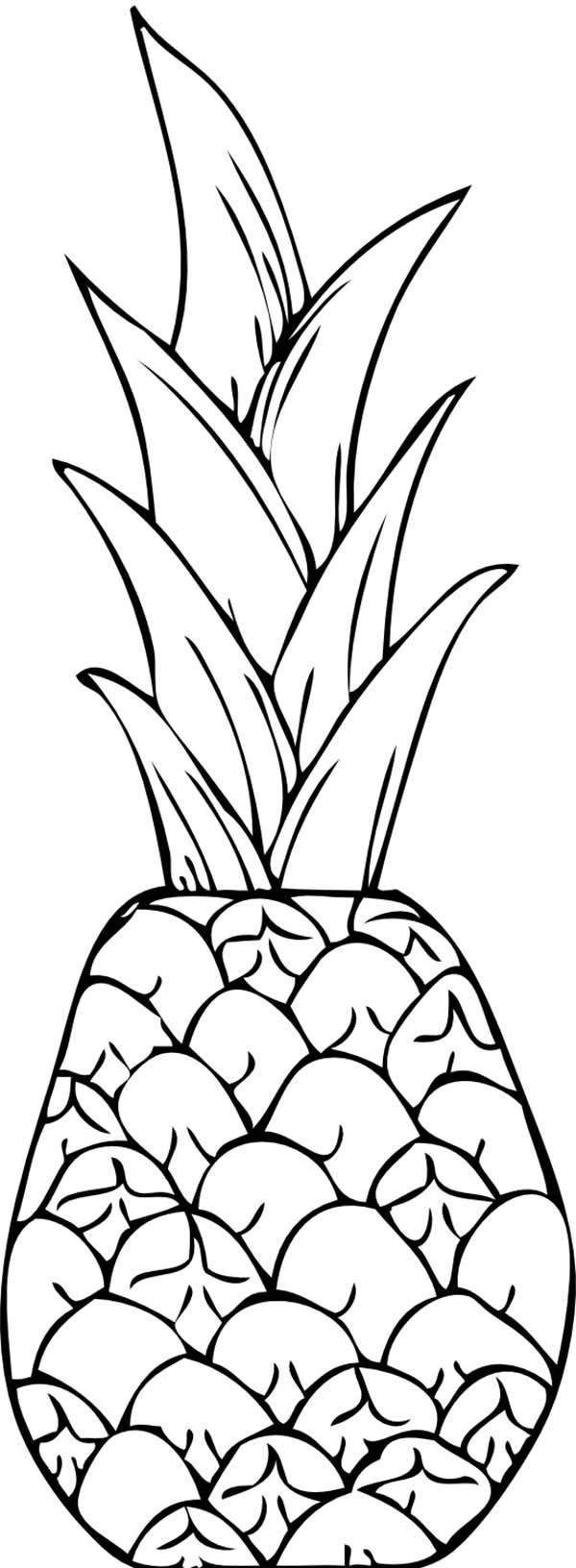 600x1632 Best Of Tropical Fruit Coloring Pages Collection Printable