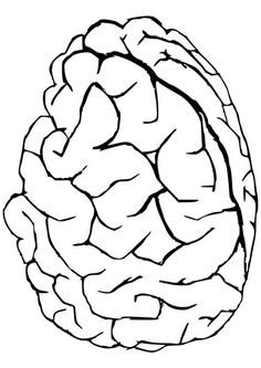 236x333 Coloring Page Brain
