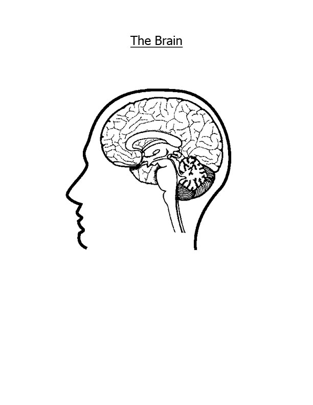612x792 Printable Rock Brain Coloring Page Team Unthinkables Superflex