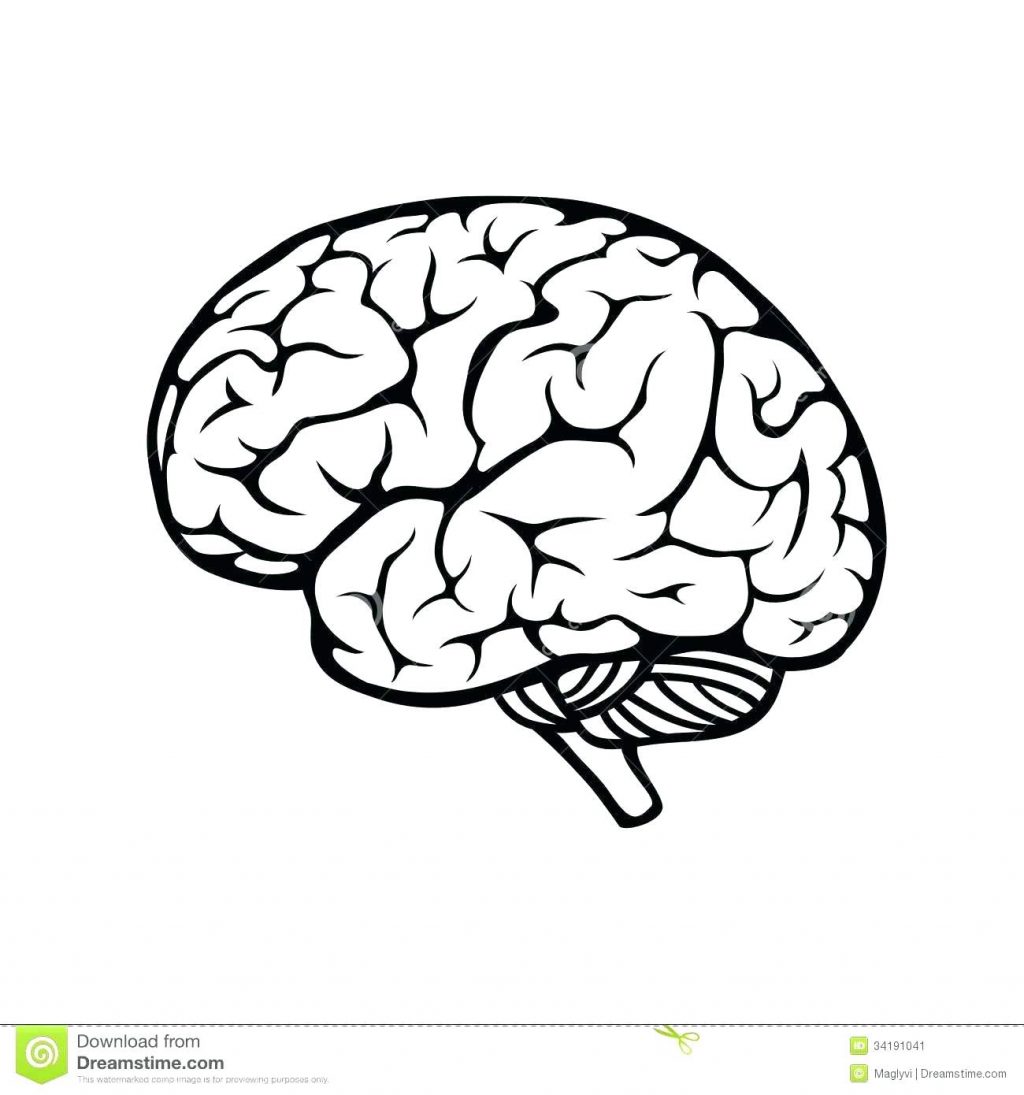 1024x1095 Coloring Pages ~ Brain Coloring Page Download Large Image Pdf