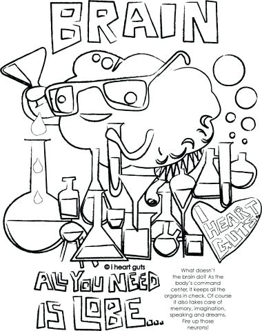 380x480 Brain Coloring Page Brain Coloring Page Brain Coloring Pages