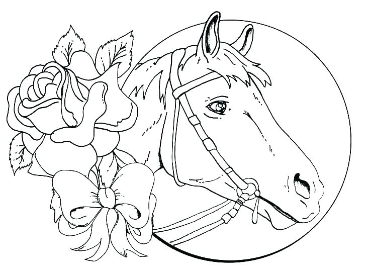 736x551 Coloring Pages For Horses Horse Head Coloring Page Horse Head
