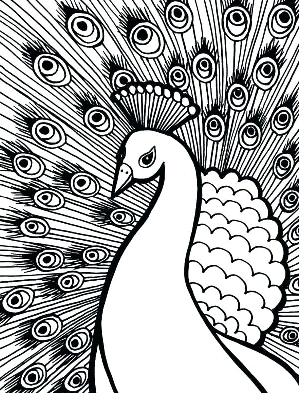 600x788 Peacock Feather Coloring Pages Peacock Feather Coloring Page
