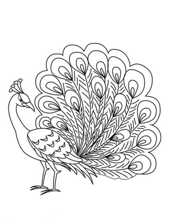 600x775 Printable Peacock Coloring Pages E Peacock, Free