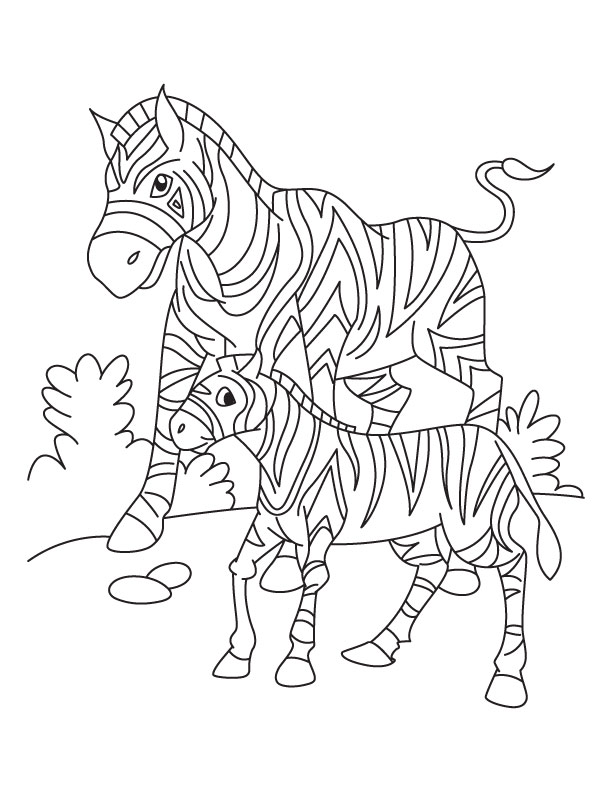 612x792 Baby Zebra Coloring Pages