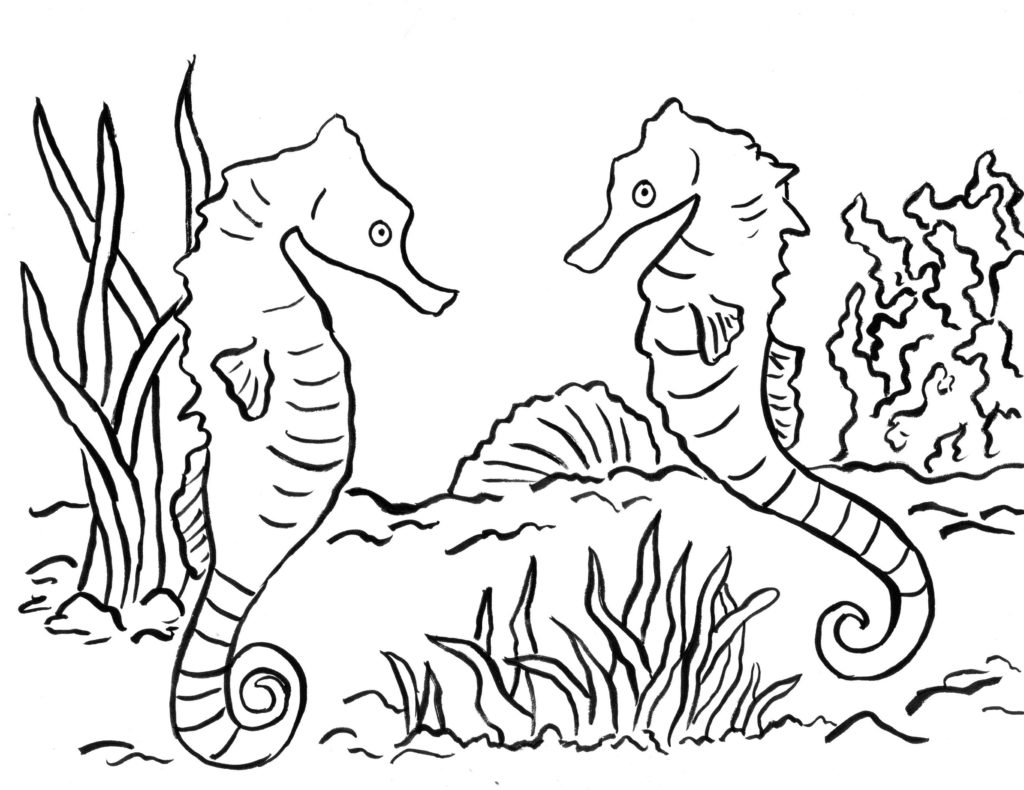 1024x790 Obsession Baby Seahorse Coloring Pages Ariana