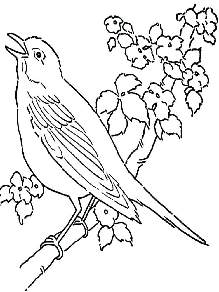 750x1000 Green Arrow Coloring Pages Black Canary Coloring Pages Coloring