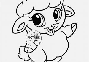 300x210 Baby Dolphin Coloring Pages Pictures Galapagos Sea Lion Posing