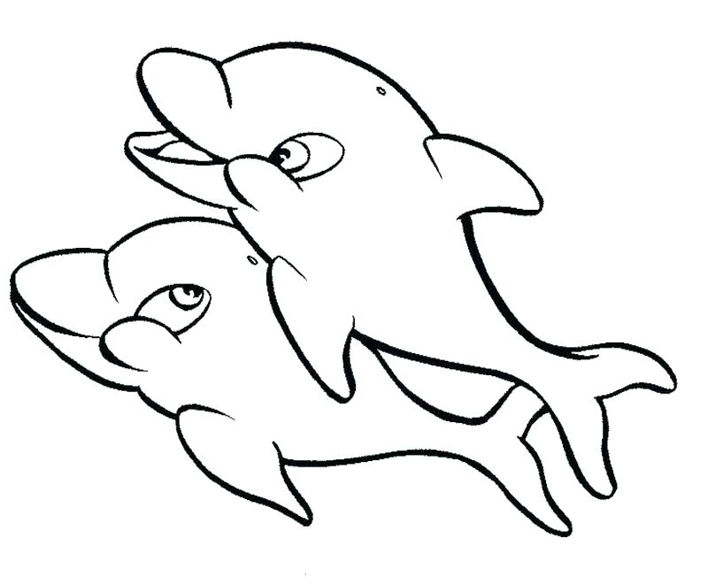 800x661 Baby Dolphin Colouring Pages Free Coloring Cute Panda Images Dol