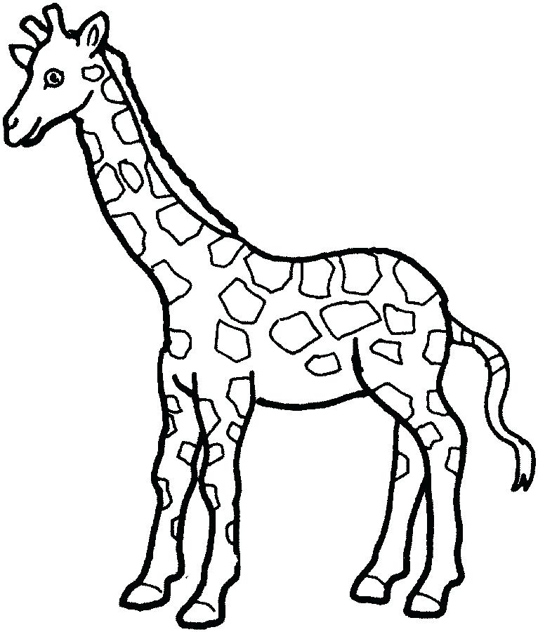 766x900 Baby Giraffe Color Pages Printable Coloring Best Photos Of Giraffe