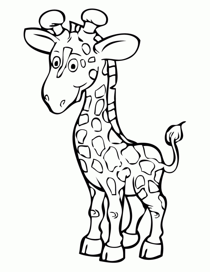 670x867 Giraffe Coloring Page Best Of Free Printable Giraffe Coloring