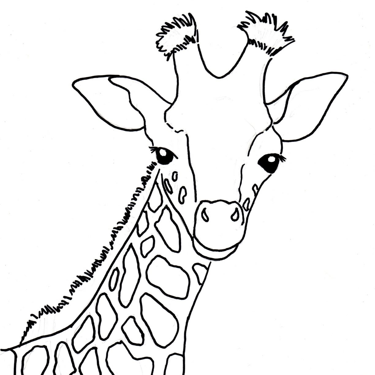 1224x1224 Marvelous Babyfe Coloring Pages Color Cute Printable Baby Giraffe