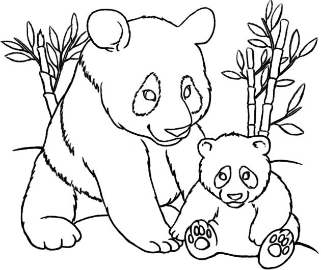 Coloring Pages Of Baby Pandas