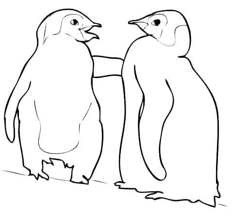 480x445 Appealing Baby Penguin Coloring Pages Appealing Baby Penguin