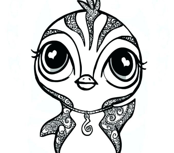 678x600 Remarkable Penguin Color Page Amusing Cute Girly Coloring Pages