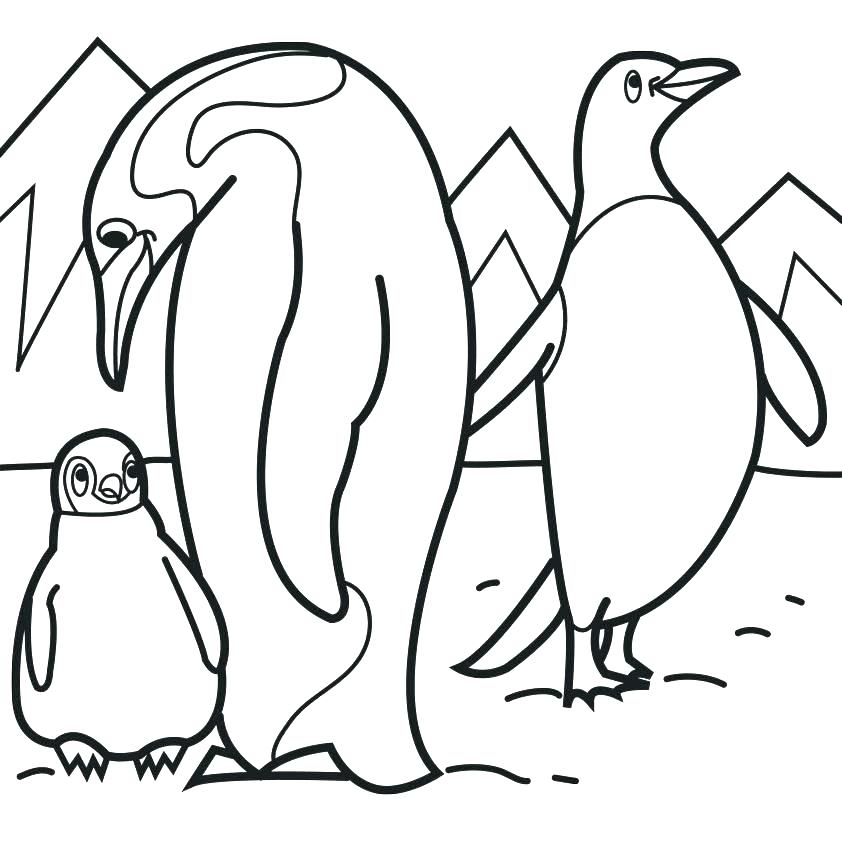 842x842 Penguins Coloring