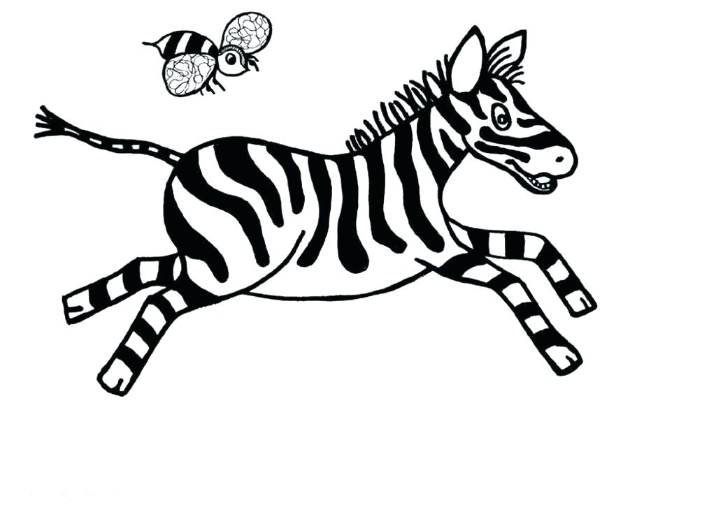 1024x743 Baby Zebra Coloring Pages Baby Zebra Coloring Pages Color Zebra