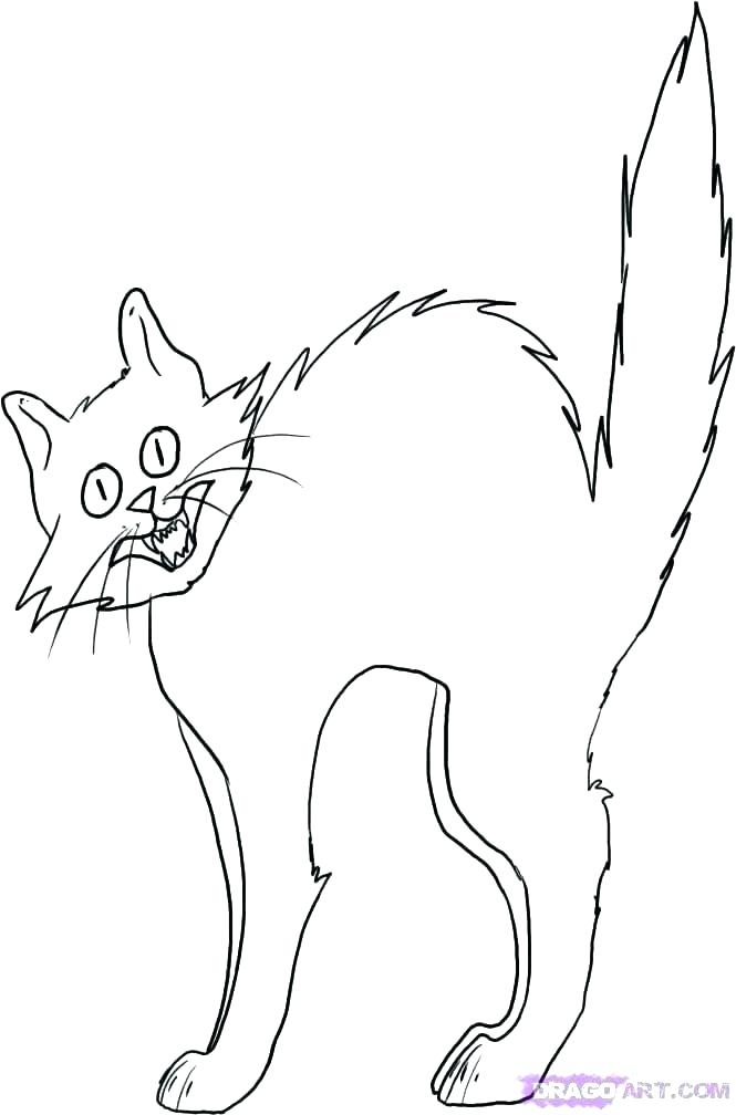 665x1008 Black Cat Coloring Page Coloring Page Black Cat Spiderman Black