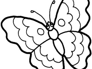 320x240 Things To Color For Kids Coloring Pages Cool Things To Color Fresh