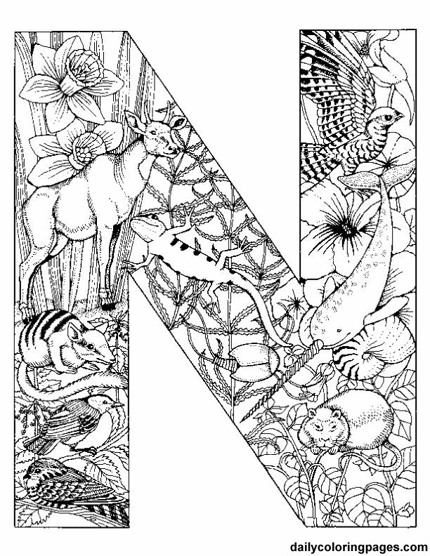 612x792 Things To Print And Color Stuff To Color For Adults 286 Best