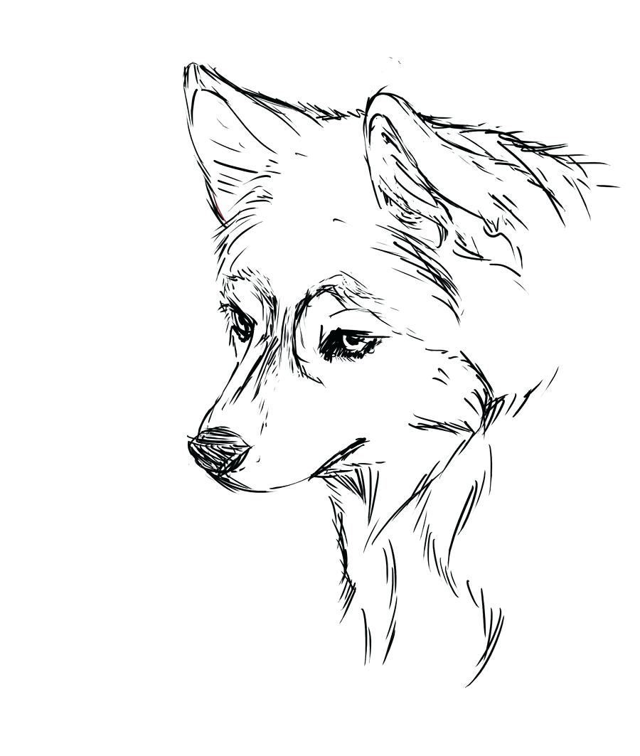900x1063 Coloring Pages ~ Cute Puppy Coloring Pages Husky Baby Cute Puppy