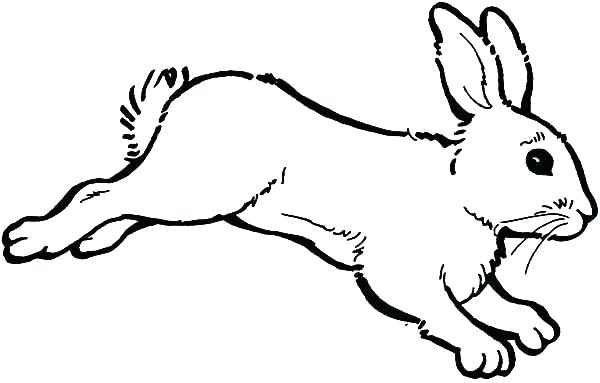 600x383 Coloring Pages Of Bunnies Bunny Coloring Page Bunny Color Page