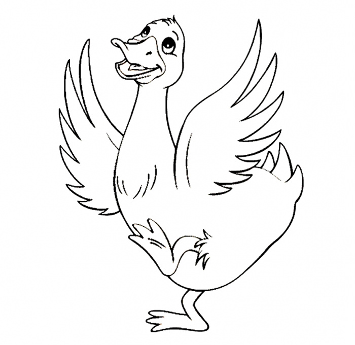 700x680 Duck Template