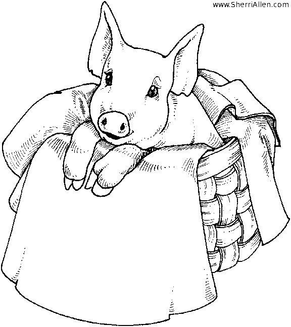 576x648 Cute Pig Pigs Ampthree Little Pigs And The Wolf