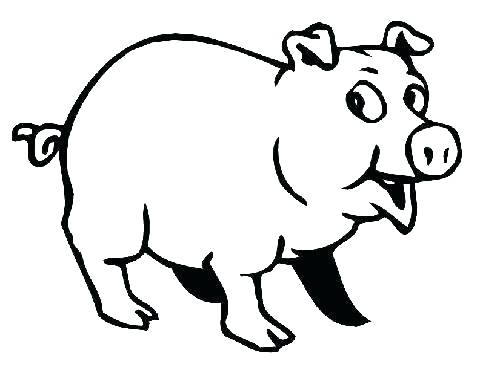 480x370 Pig Coloring Page Baby Pig Coloring Pages Free Pig Coloring Page