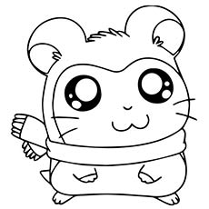 230x230 Top 25 Free Printable Guinea Pig Coloring Pages Online