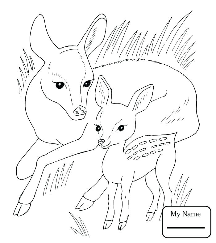 700x786 Browning Coloring Sheets Doe Page Pages Coloring Trend Thumbnail