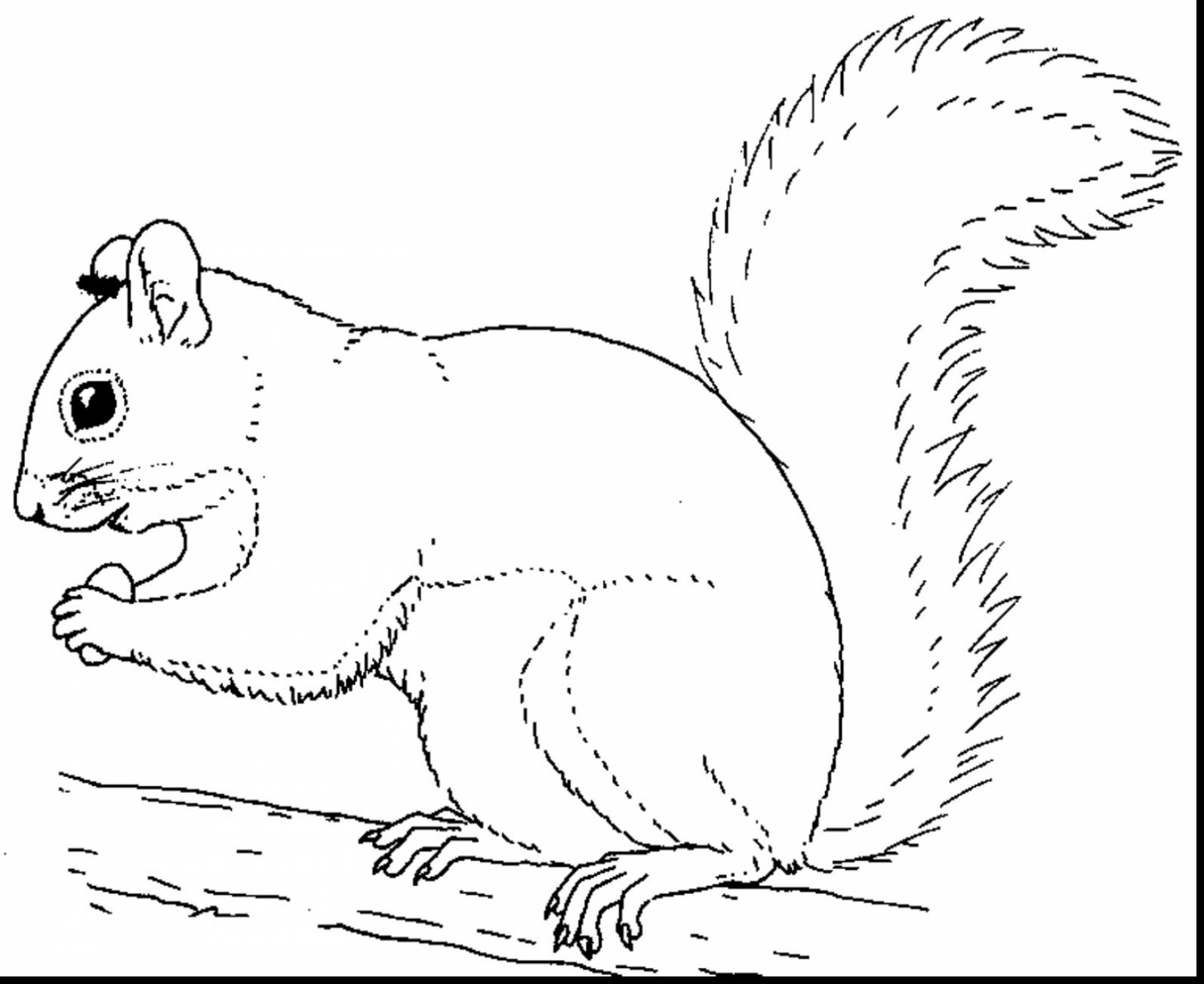 1595x1303 Dog And Cat Coloring Pages