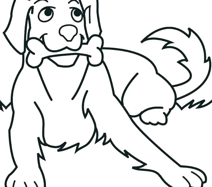 678x600 Poodle Coloring Page Coloring Page Dog Poodle Coloring Page Poodle