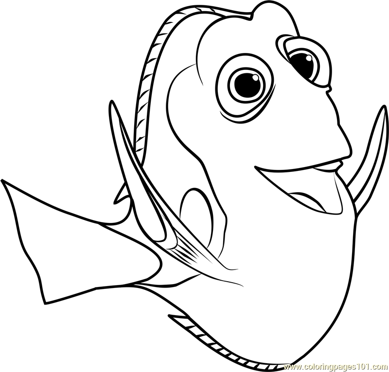 800x766 28 Finding Dory Coloring Pages Images Free Coloring Pages