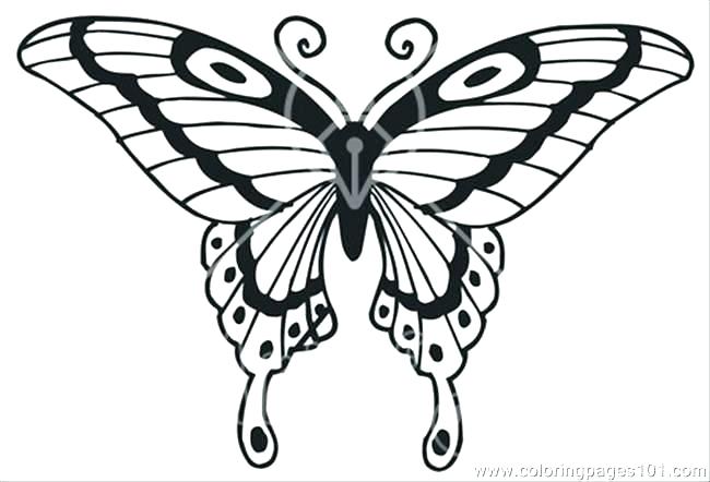 650x442 Coloring Pages Flowers Pdf Ipomoea Flower Three Leaf Flower