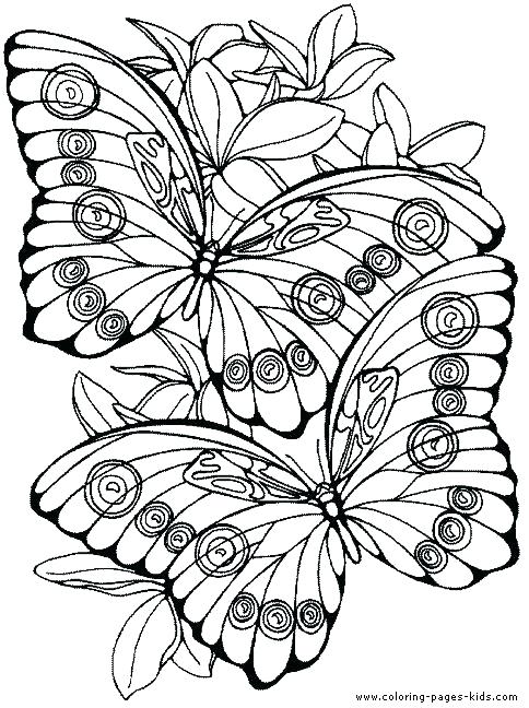 484x648 Coloring Pages Of Flowers And Butterflies Plus Adult Coloring