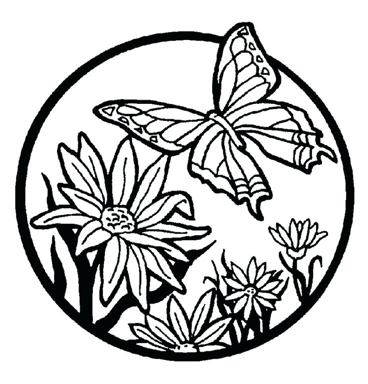 736x769 Coloring Pages Coloring Books. Coloring Pages Flowers