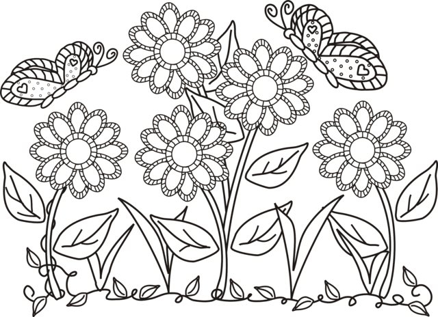 640x464 Coloring Pages. Coloring Pages Flowers And Butterflies