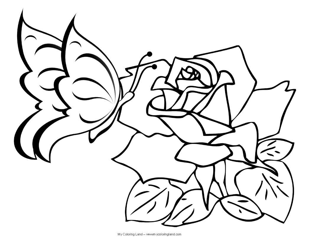 1056x816 Coloring Pictures Of Flowers And Butterflies
