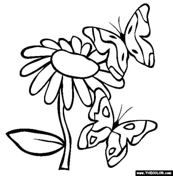 600x612 Two Butterflies Surrounding The Flowers Coloring Page