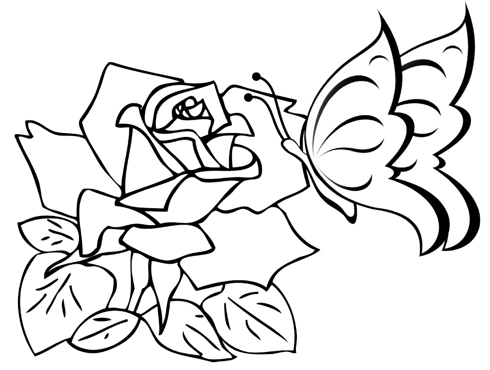 1005x759 Butterflies And Flowers Coloring Pages