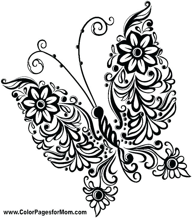 640x729 Coloring Pages Flowers And Butterflies Butterfly And Flower
