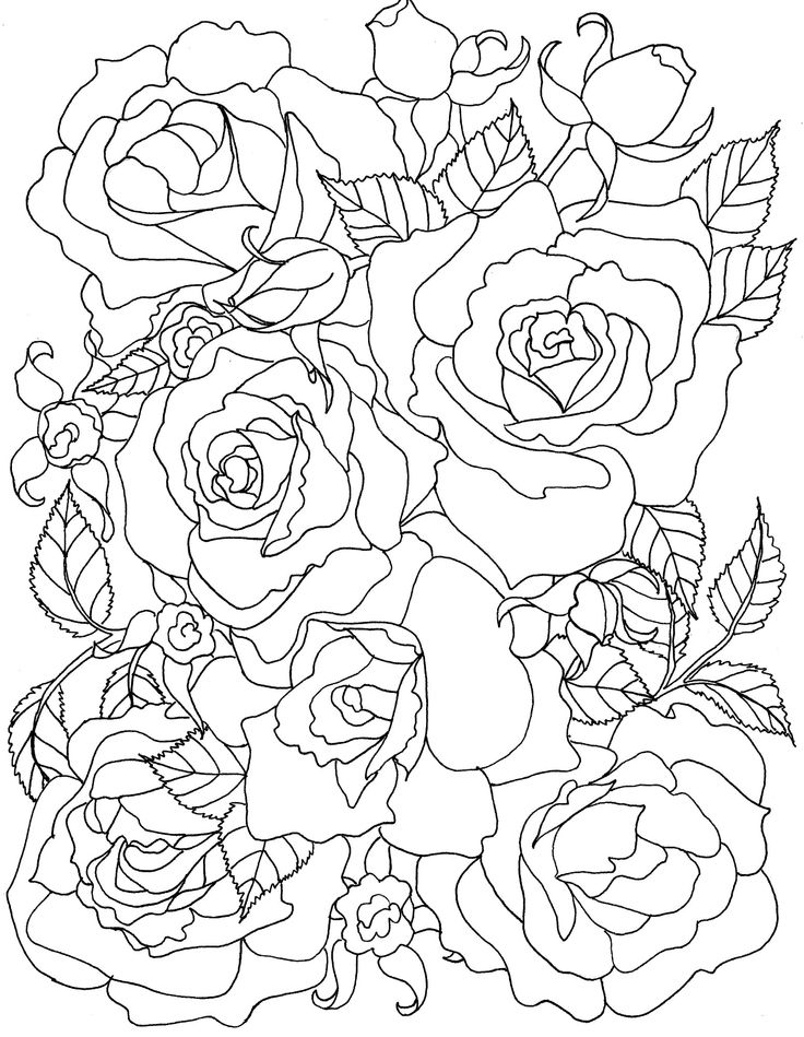 Coloring Pages Of Flowers And Roses